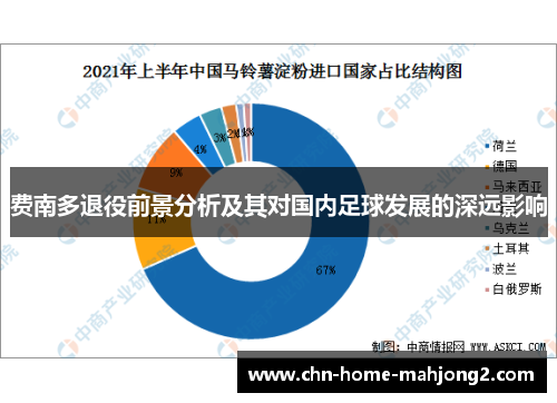 费南多退役前景分析及其对国内足球发展的深远影响 费南多退役前景分析及其对国内足球发展的深远影响