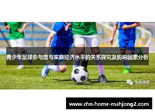 青少年足球参与度与家庭经济水平的关系探究及影响因素分析