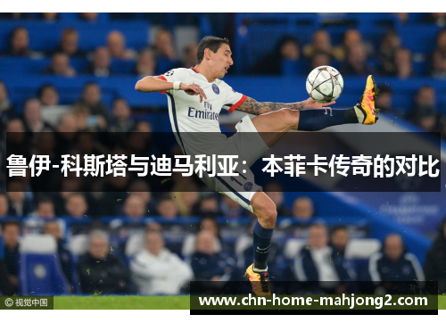 鲁伊-科斯塔与迪马利亚：本菲卡传奇的对比