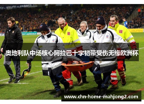 奥地利队中场核心阿拉巴十字韧带受伤无缘欧洲杯 奥地利队中场核心阿拉巴十字韧带受伤无缘欧洲杯