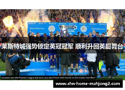 莱斯特城强势锁定英冠冠军 顺利升回英超舞台